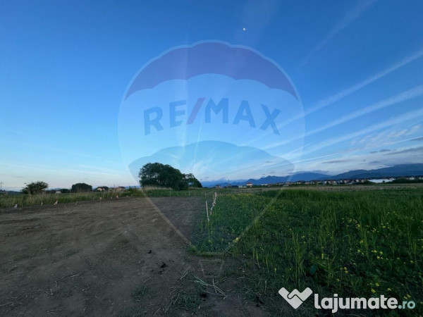 Teren intrare Sanpetru 668mp, str Tudor Arghezi-zona cart... 