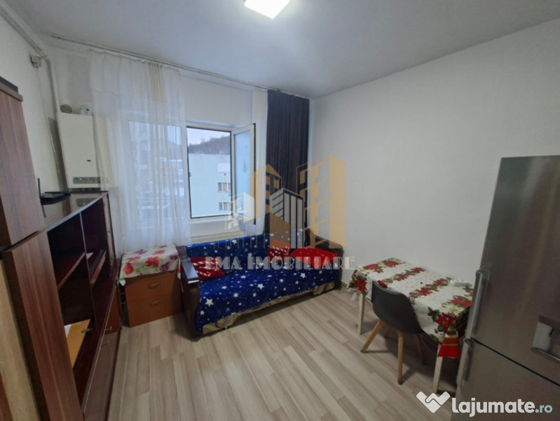 Camera de camin Noua Brasov