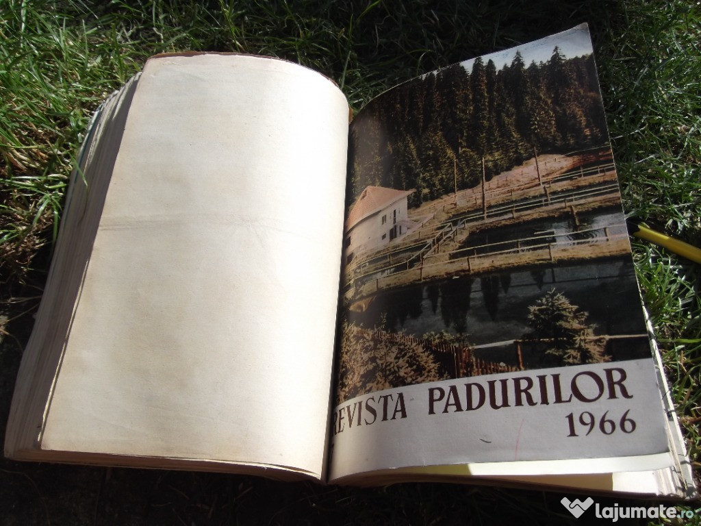 Uniformă silvică din epoca comunistă