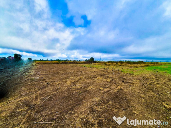 Teren Intravilan Bradu Arges 646 mp