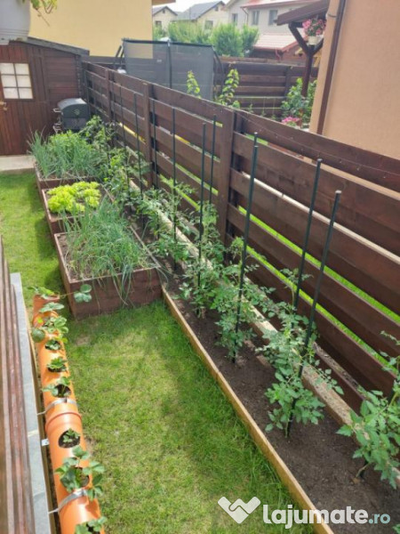 Casa 4C Valea Lupului-Iași 