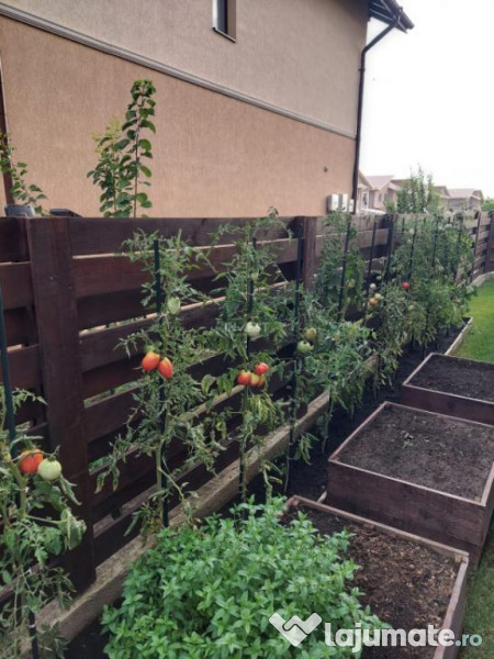 Casa 4C Valea Lupului-Iași 