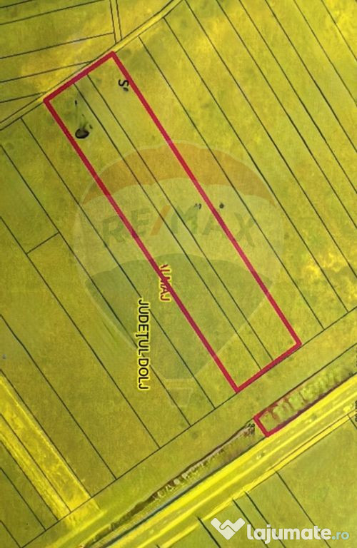 Teren 4,787mp Almaj / DN E79 