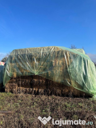 Baloți de iarbă și lucernă 