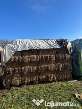Baloți de iarbă și lucernă 