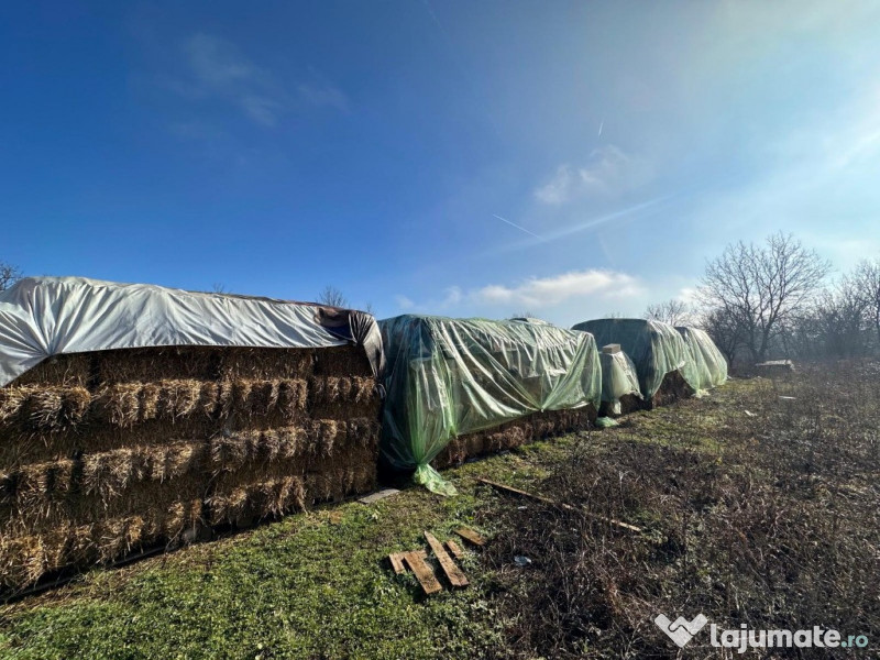 Baloți de iarbă și lucernă 