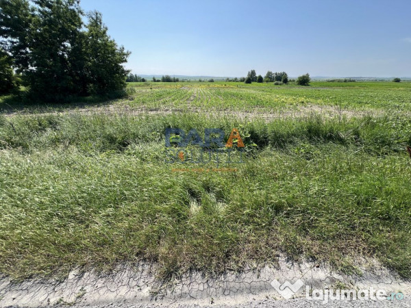 Teren 9969 mp, situat la E85, între două intrări pe au... 