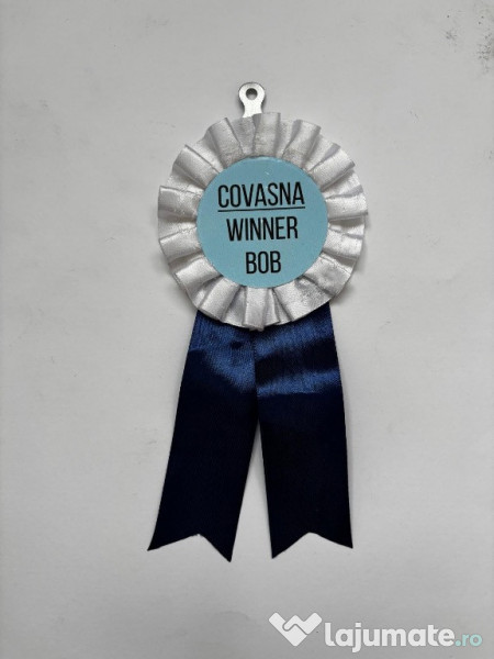 Pui Samoyed din părinți campioni, mascul foarte energic 