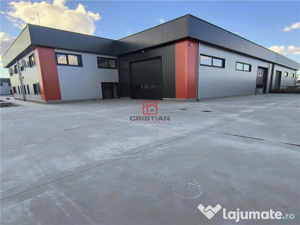 Depozit/hala/spatiu industrial Domnesti - Centura 