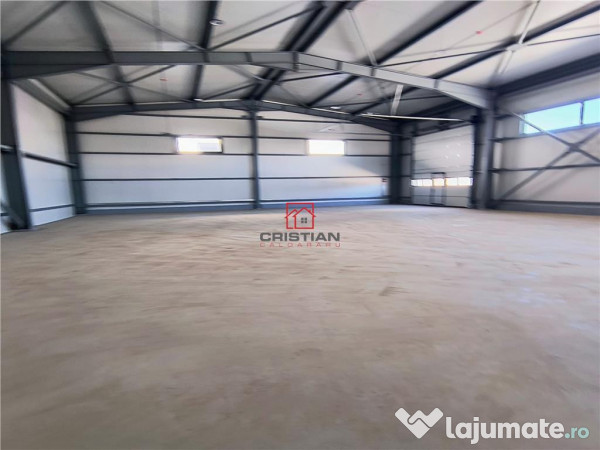 Depozit/hala/spatiu industrial Domnesti - Centura 