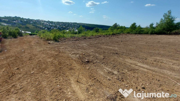 Teren intravilan , Bucium Barnova 