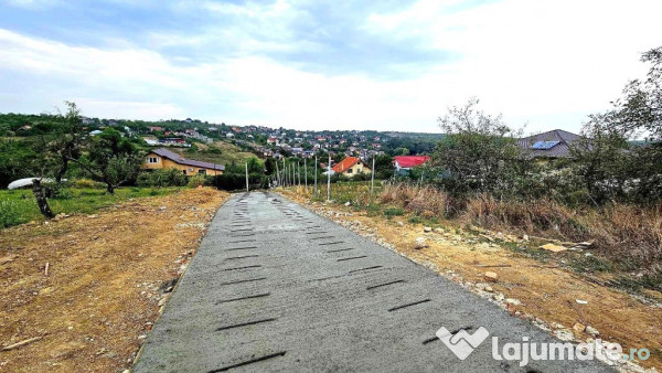 Teren intravilan , Bucium Barnova 