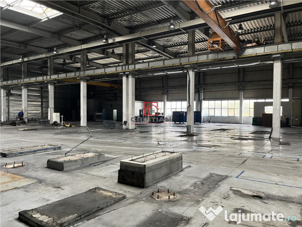 Depozit/hala/spatiu industrial Militari - Timisoara