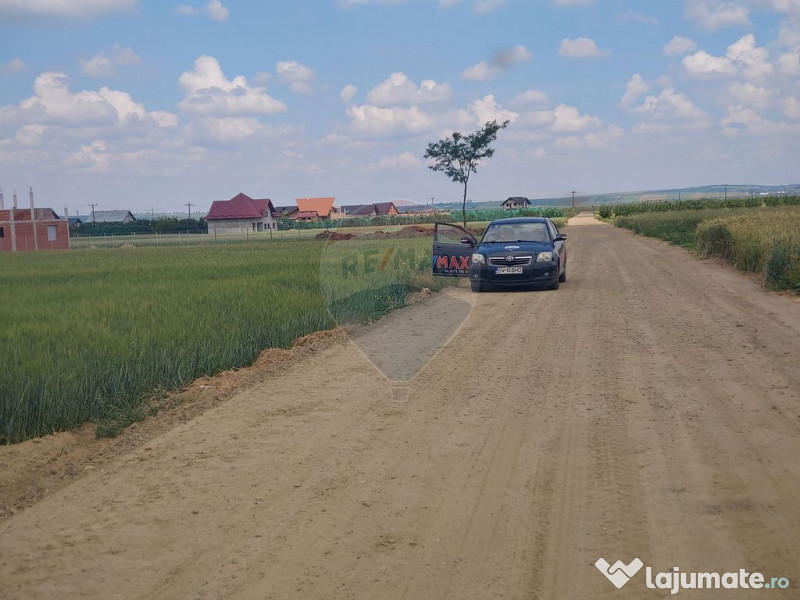 Teren intravilan 6,600mp Dumbraveni / Strada Principala s... 