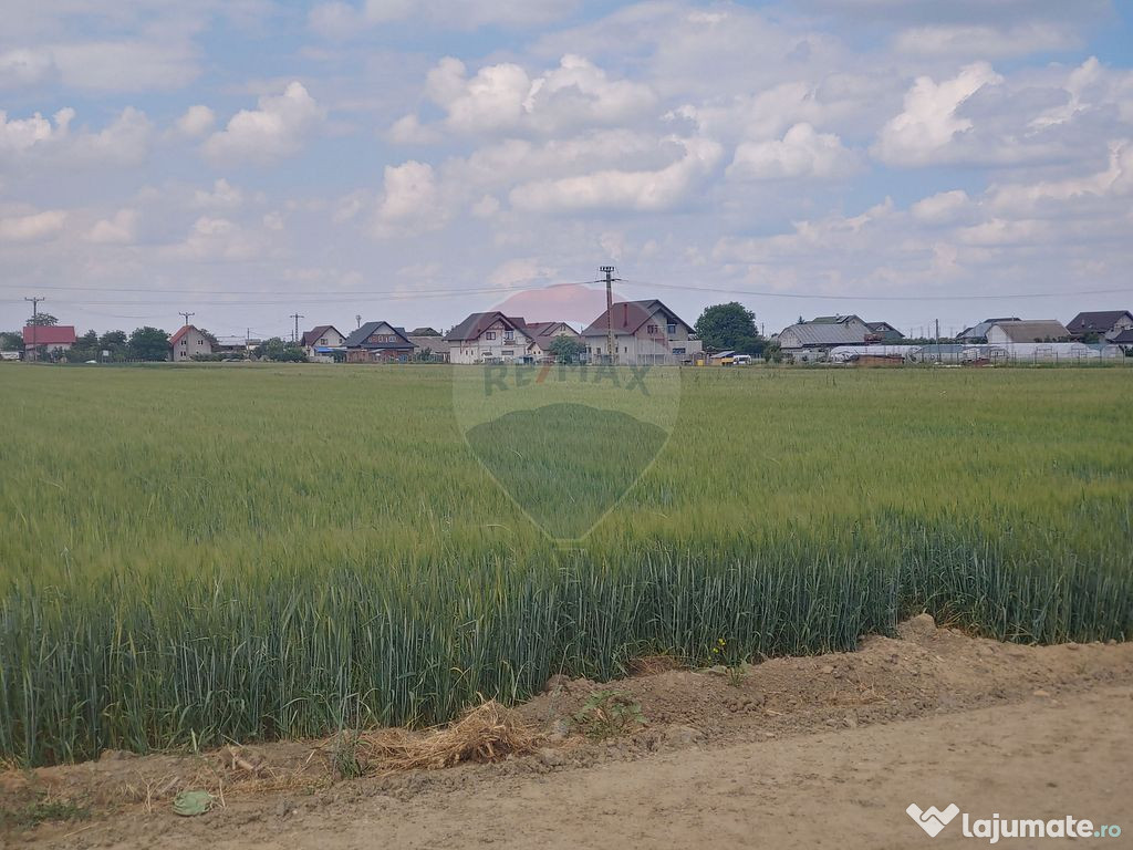 Teren intravilan 6,600mp Dumbraveni / Strada Principala s... 