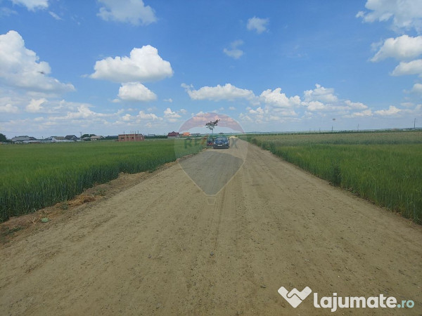 Teren intravilan 6,600mp Dumbraveni / Strada Principala s... 