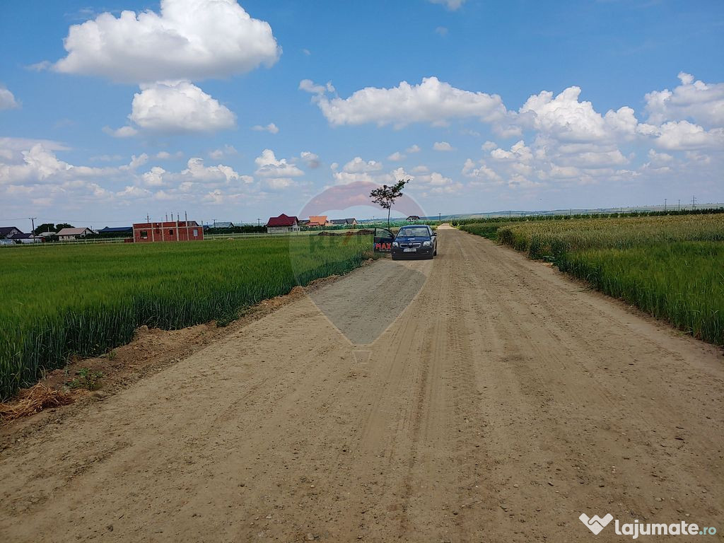 Teren intravilan 6,600mp Dumbraveni / Strada Principala s... 