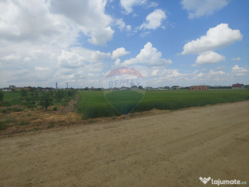 Teren intravilan 6,600mp Dumbraveni / Strada Principala s... 