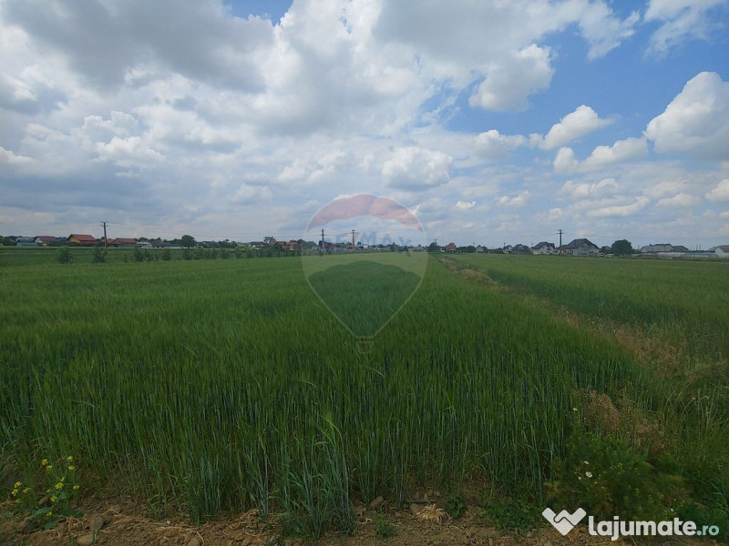 Teren intravilan 6,600mp Dumbraveni / Strada Principala s... 