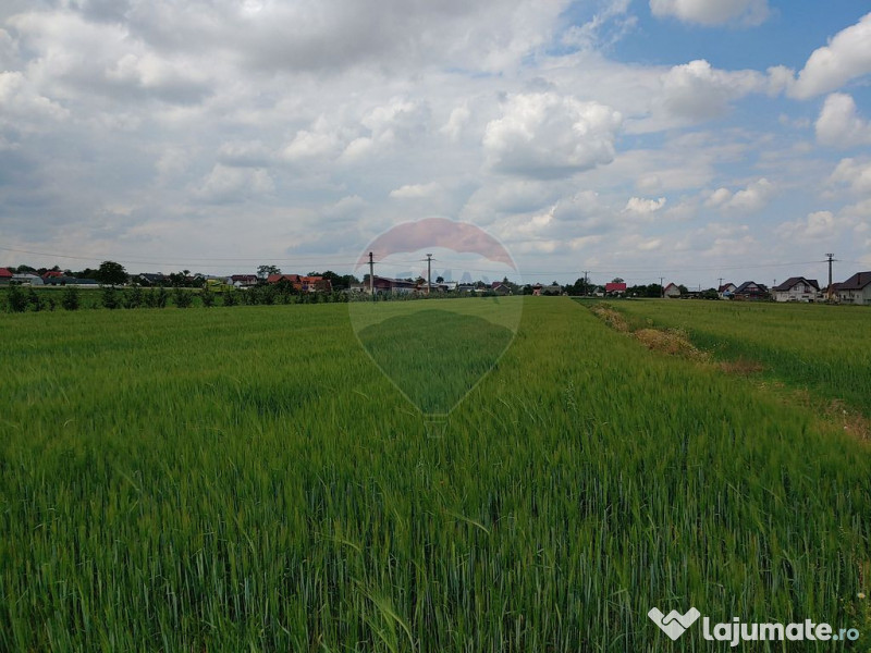 Teren intravilan 6,600mp Dumbraveni / Strada Principala s... 