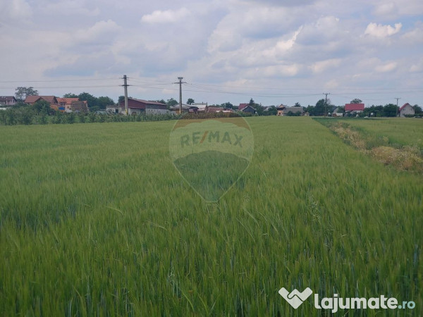 Teren intravilan 6,600mp Dumbraveni / Strada Principala s... 