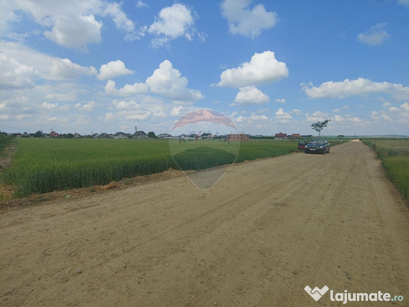 Teren intravilan 6,600mp Dumbraveni / Strada Principala s... 