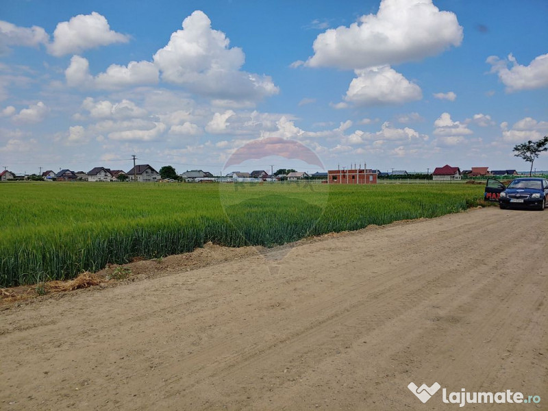 Teren intravilan 6,600mp Dumbraveni / Strada Principala s... 