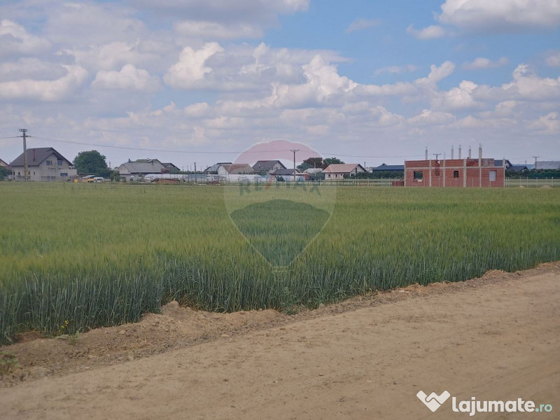 Teren intravilan 6,600mp Dumbraveni / Strada Principala s... 