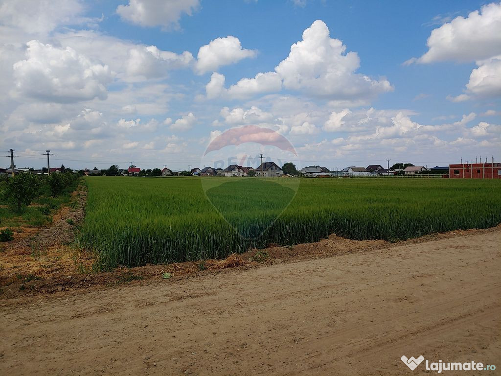 Teren intravilan 6,600mp Dumbraveni / Strada Principala s... 