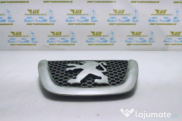 Emblema bara fata 9653466777 Peugeot 307  (facelift) [2005 - 2008]
