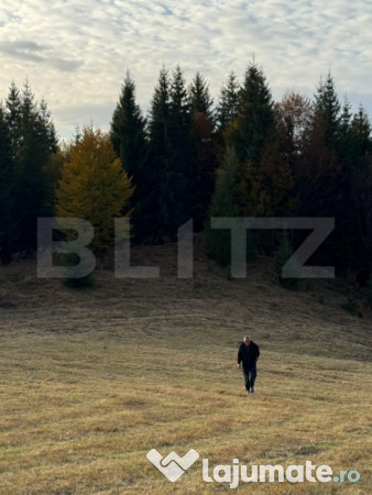 Teren Intravilan, 1000 mp, zona Castelul Dracula - Tihuta