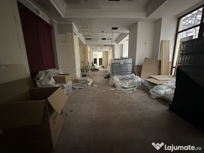 Calea Victoriei 500 mp open space terasa