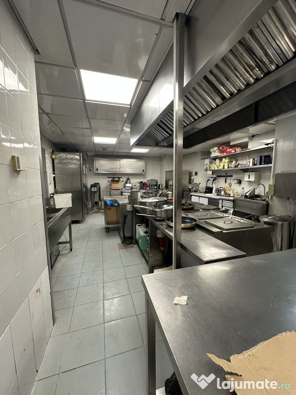 Calea Victoriei 500 mp open space terasa