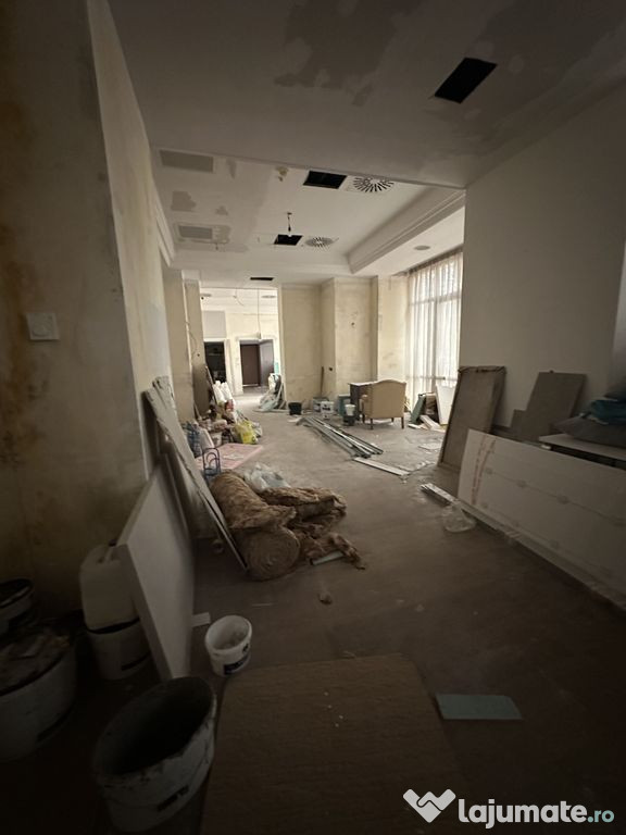 Calea Victoriei 500 mp open space terasa