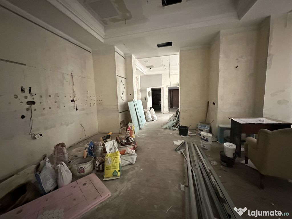 Calea Victoriei 500 mp open space terasa