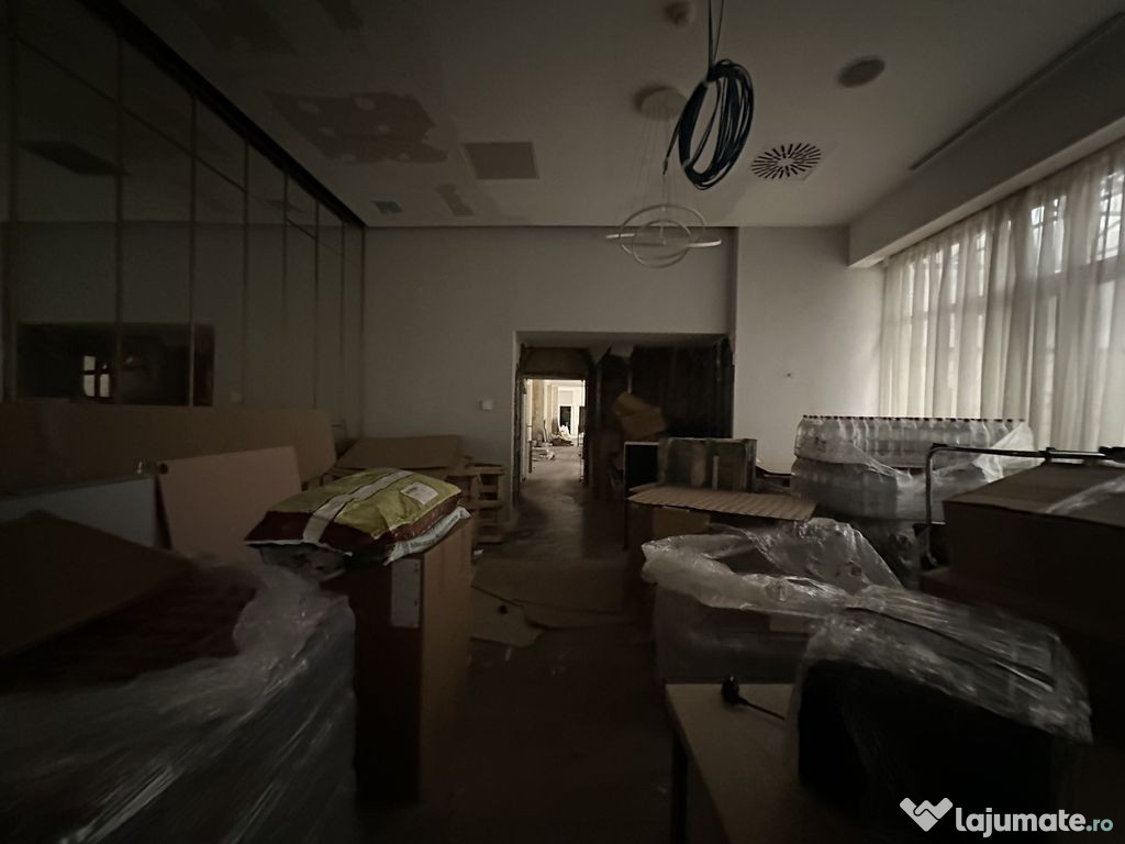 Calea Victoriei 500 mp open space terasa