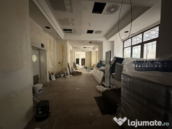 Calea Victoriei 500 mp open space terasa