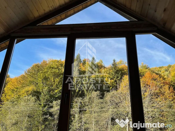 Cabana de inchiriat in Apuseni, Ciubar, Fara vecini, Fois... 