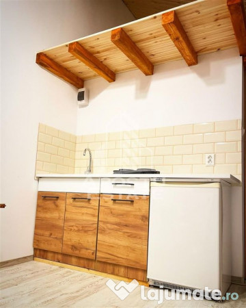 Cabana de inchiriat in Apuseni, Ciubar, Fara vecini, Fois... 