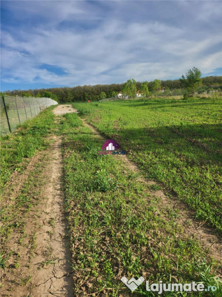 TEREN 5600 MP SNAGOV LAC 