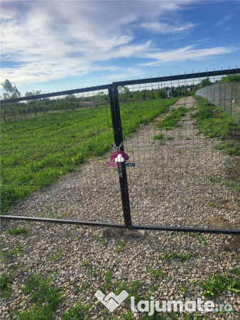 TEREN 5600 MP SNAGOV LAC 