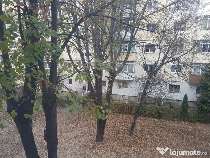 Apartament doua camere, etaj 2, renovat, liber, Narcisa 