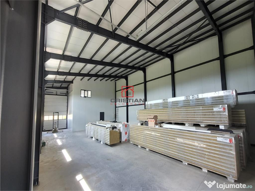 Depozit/hala/spatiu industrial Domnesti - Centura, Ilfov 