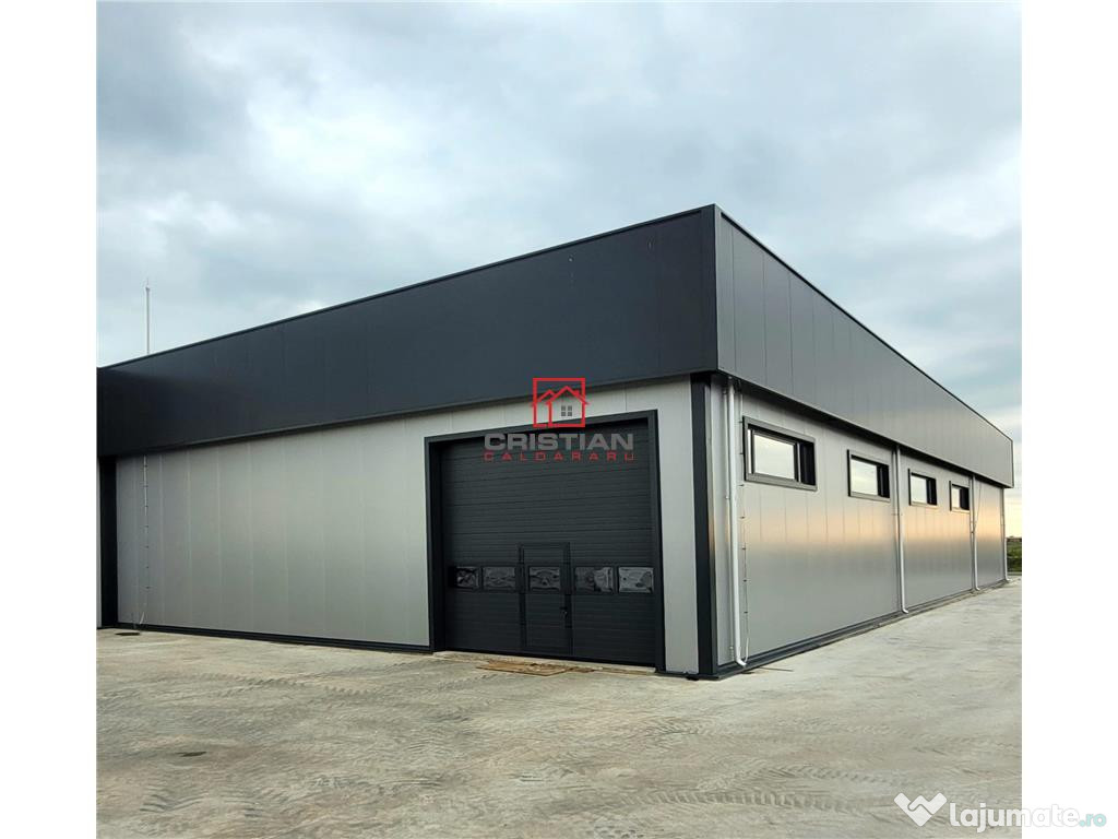 Depozit/hala/spatiu industrial Domnesti - Centura, Ilfov 