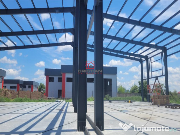 Depozit/hala/spatiu industrial Domnesti - Centura, Ilfov 