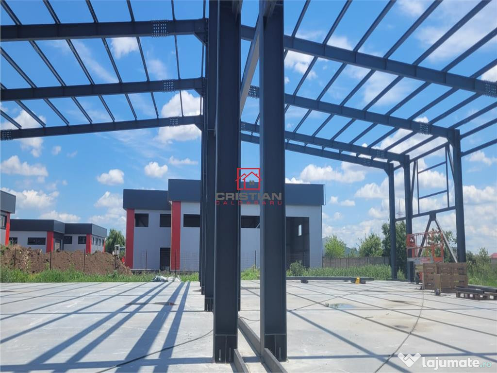 Depozit/hala/spatiu industrial Domnesti - Centura, Ilfov 