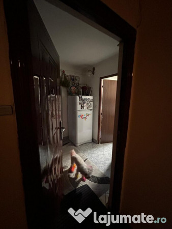 MIHAI BRAVU - 2cam, cf1A, dec, 4/4, G,F,T - 52000 euro 