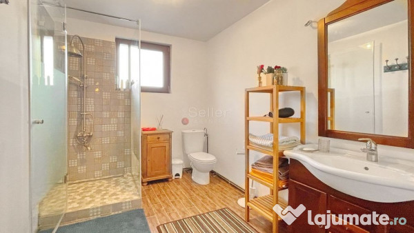 Complex de 3 case pe 18000 mp teren 