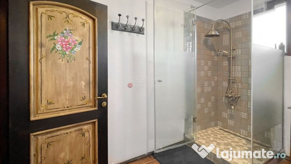 Complex de 3 case pe 18000 mp teren 