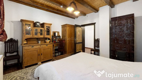 Complex de 3 case pe 18000 mp teren 